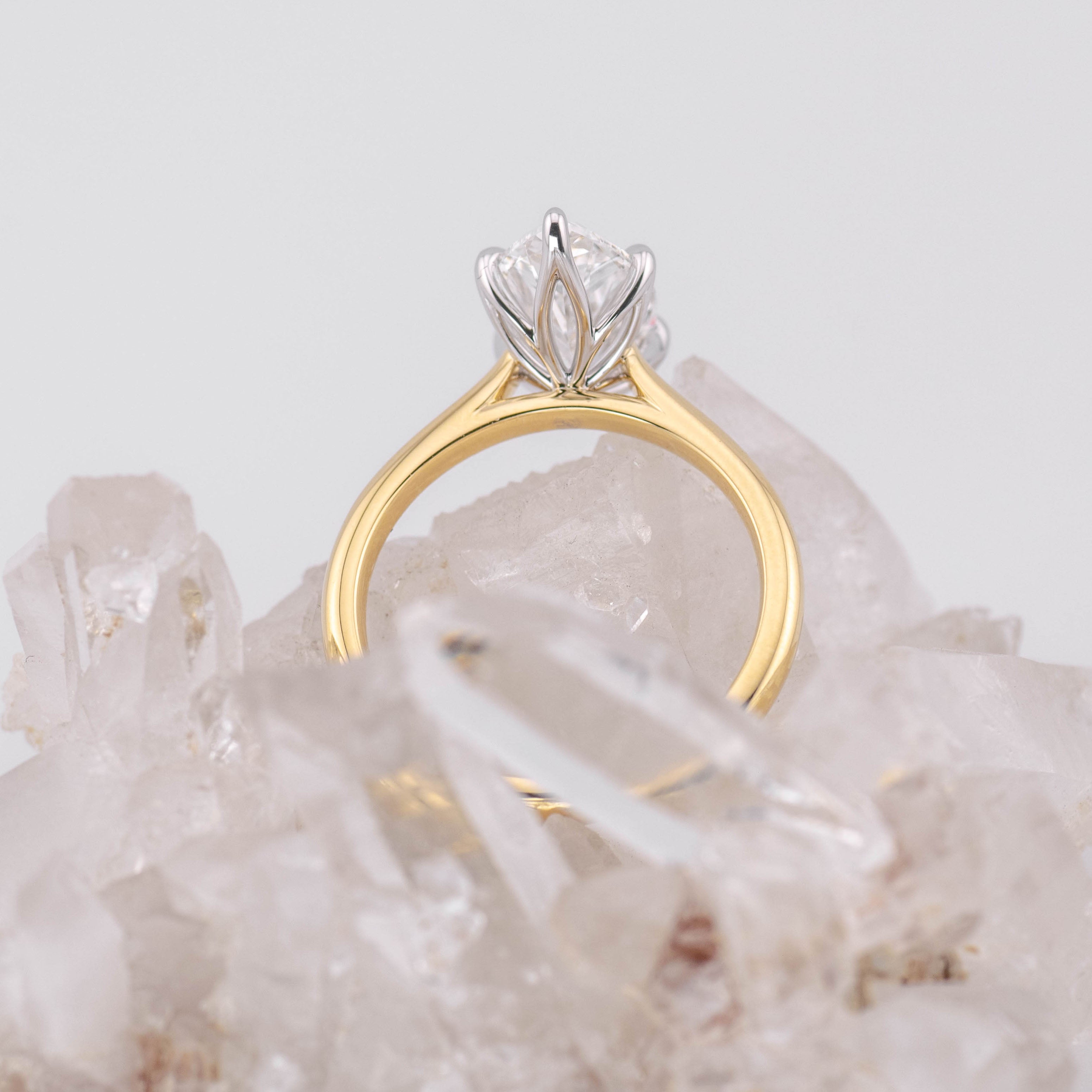 (Ready to Ship Size M) - Petal Marquise – 6 Claw 2.59ct E VVS2 Marquise Solitaire in 2 Tone Yellow and White Gold