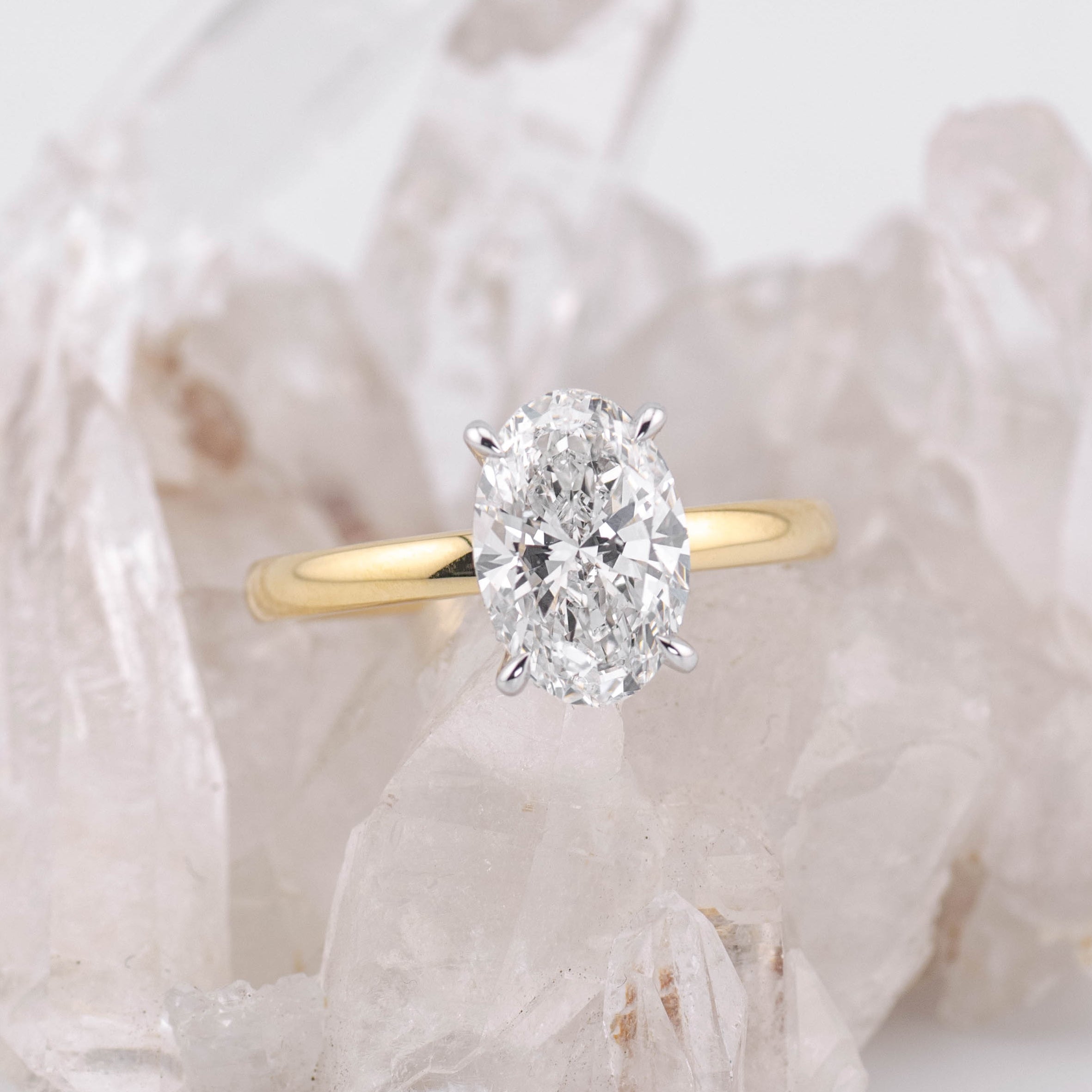 Bella  – Custom Listing (JC)