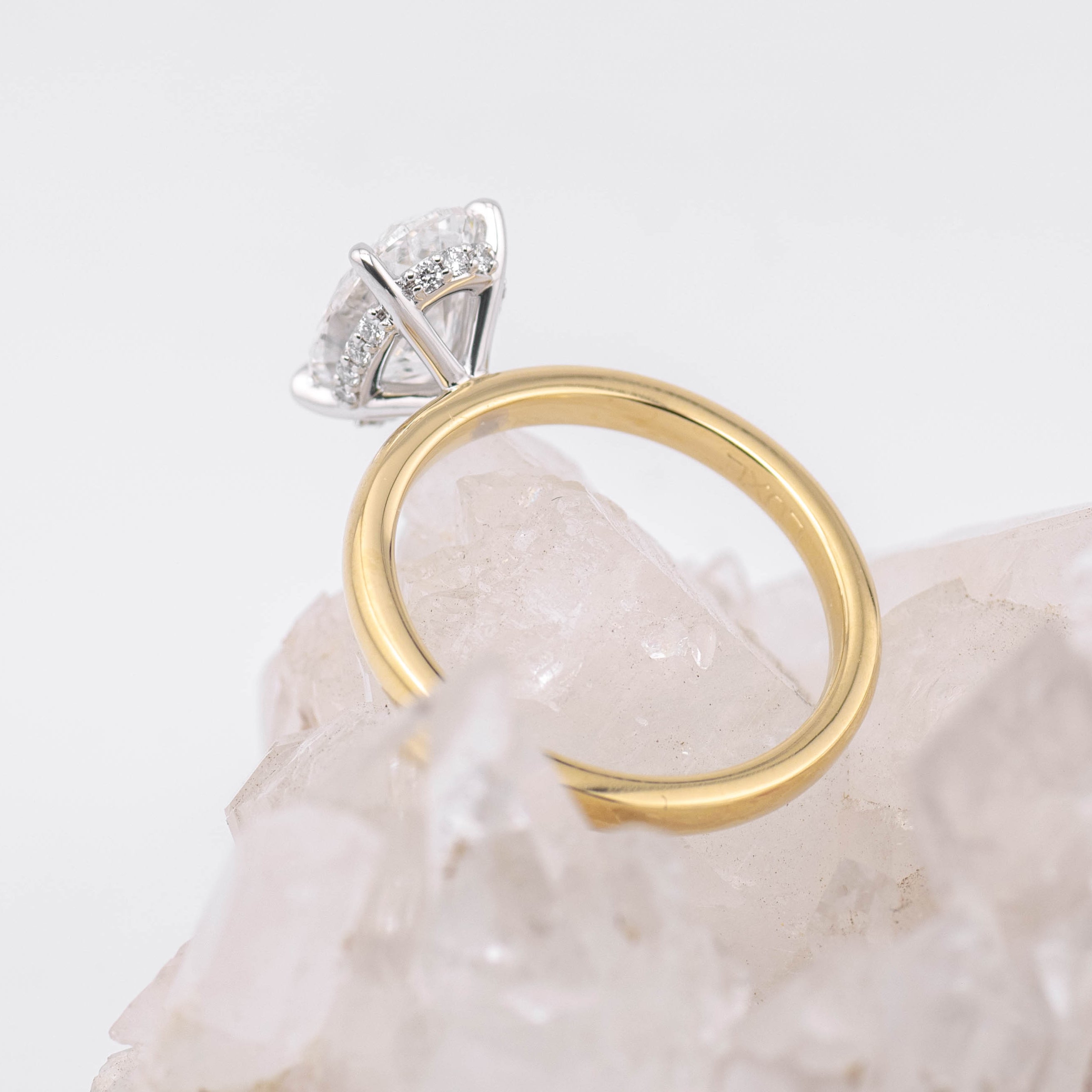 Bella  – Custom Listing (JC)