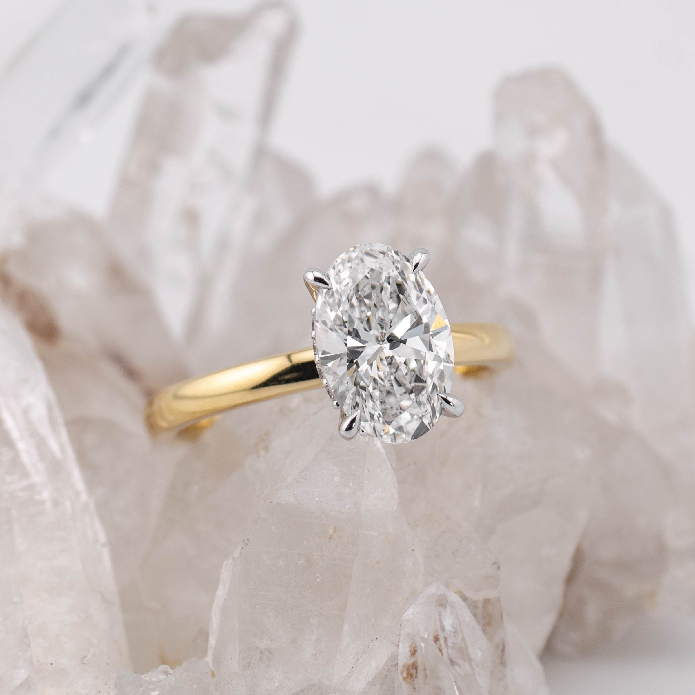 Bella  – Custom Listing (JC)