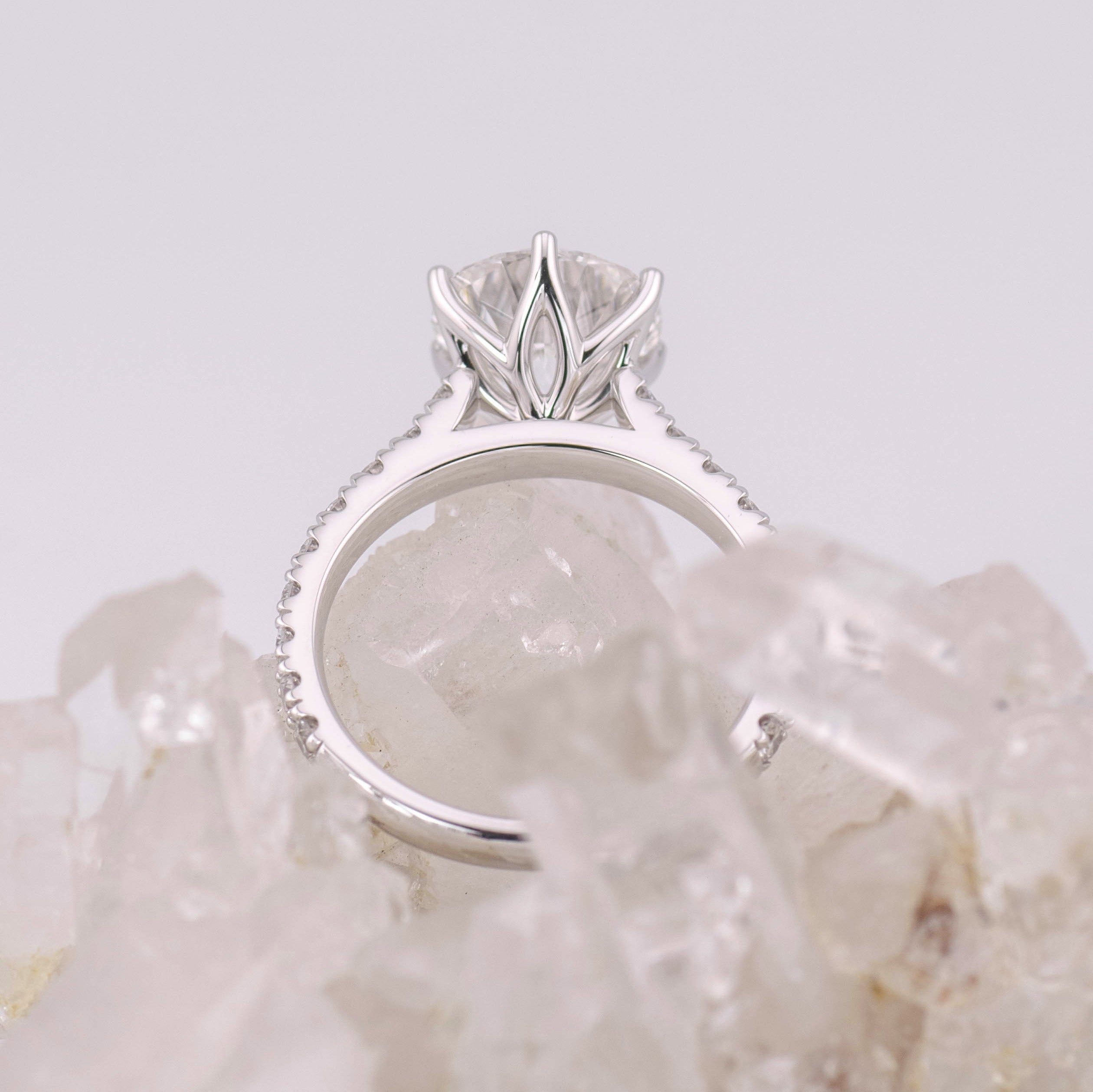 (Ready to Ship Size M) - Petal Pave Solitaire – 6 Petal Claw Round Brilliant 2.76ct D VVS2 in 18k White Gold