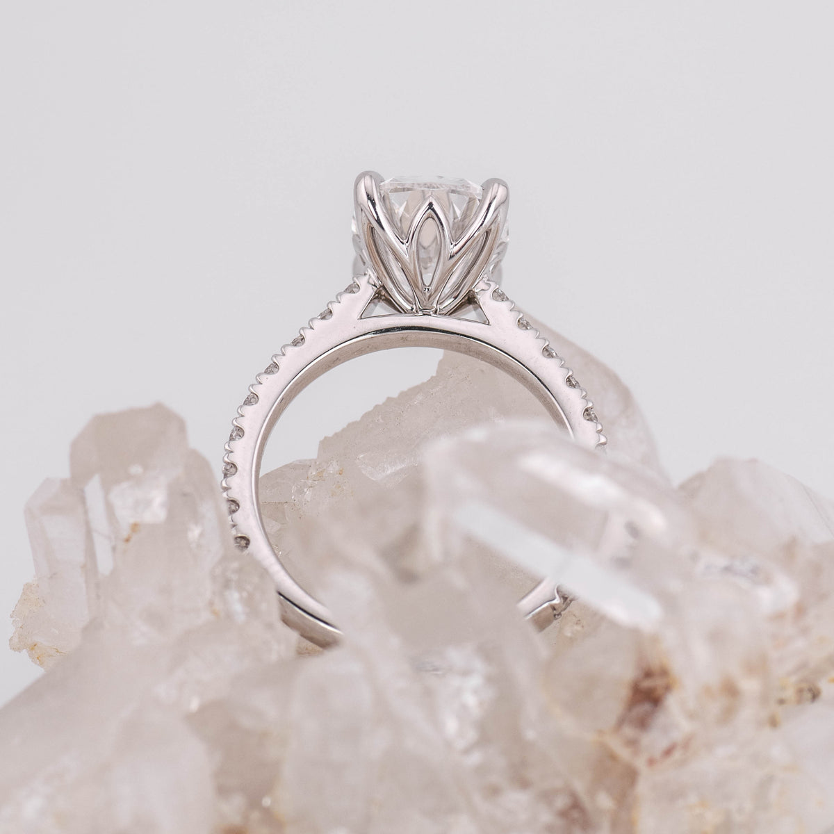 (Ready to Ship Size N) Petal Pave Solitaire – 4.07ct 4 Petal Claw Old Mine Elongated Cushion E VVS2 in 18k White Gold