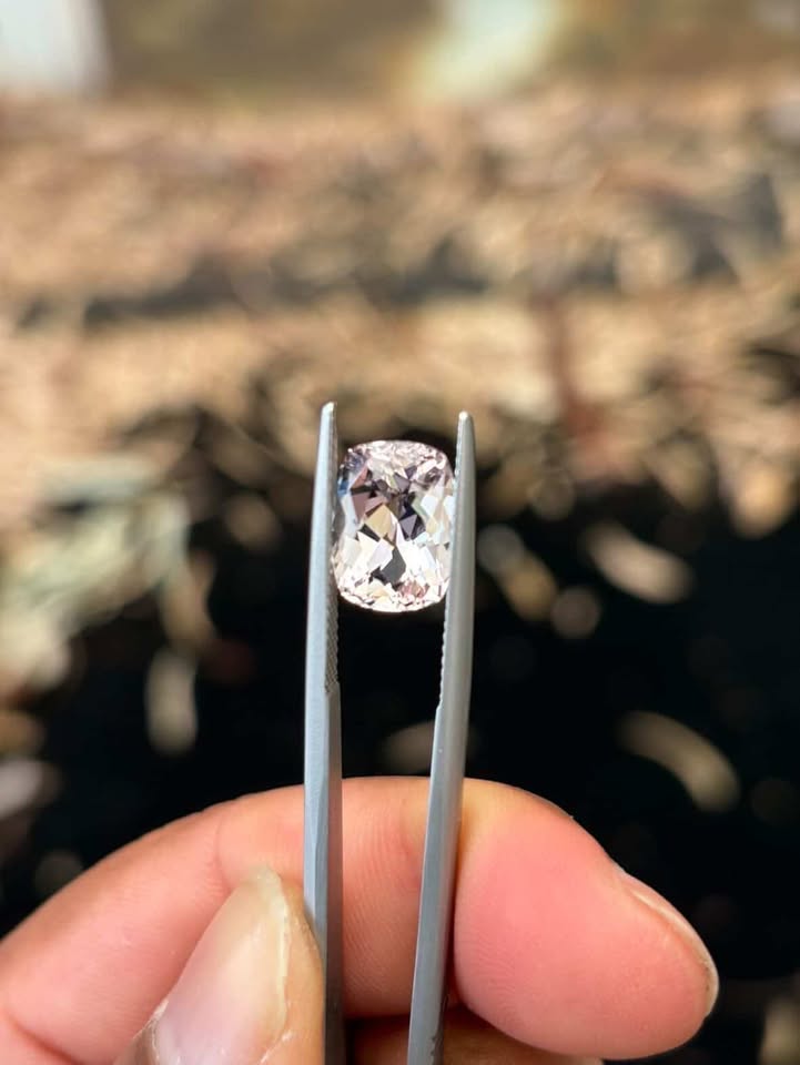Custom Listing - Frank B